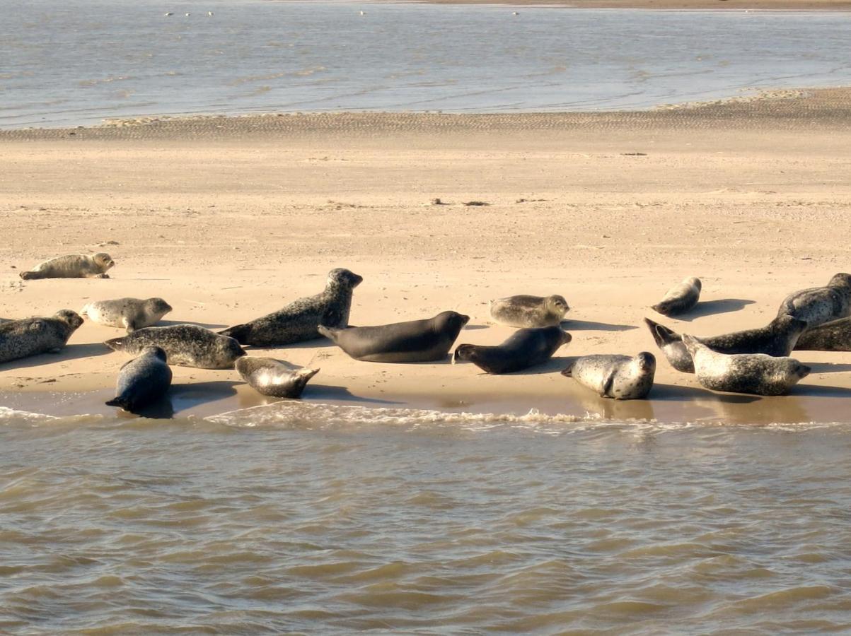 Huus Wattenmeer In Nessmersiel An Der Nordsee Dornum Extérieur photo